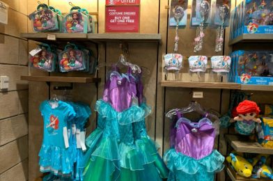 PHOTOS: Princess Dresses Now Buy One, Get One Free at Walt Disney World