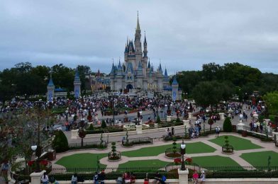 There’s an Epic New Super ZOOM Magic Shot in Disney’s Animal Kingdom