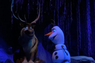 VIDEO: Girl You Good?! Anna’s WHOLE FACE Was Missing on EPCOT’s Frozen Ride