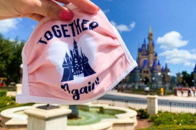 5 Tips You HAVEN’T Heard 1000 Times For Wearing a Face Mask in Disney World!