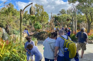 PHOTOS: Flight of Passage Now Loading Every Bike (WITHOUT Barriers) in Disney World