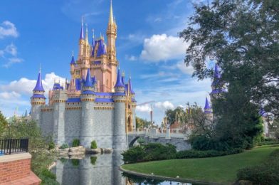 These Are the Most Popular Disney World Rides. Do You Agree?