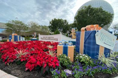 Review! The Waffles Booth Is Now OPEN for the EPCOT Festival of the Holidays