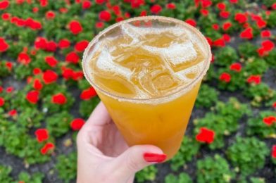 REVIEW: Does This Holiday Cocktail At Disney World Make Us Jingle All The Way?