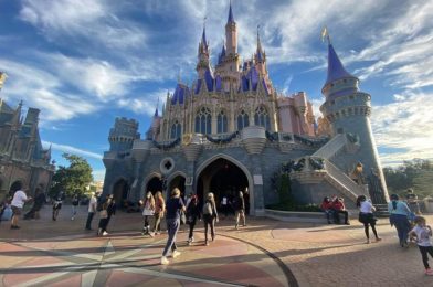 DFB Video: How My Next Disney World Trip Will Be Different