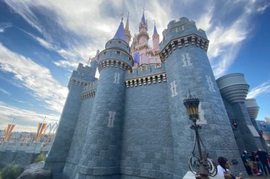 15 NEW Things We Found Out at Disney World in December!