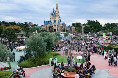 NEWS: Tokyo Disney Resort Temporarily Suspends Nightly Fireworks