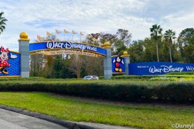 Take a Look at the Construction Progress for Attractions Coming to Disney World THIS YEAR!