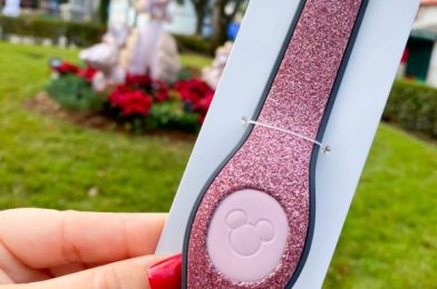 PICS: A NEW Navy Blue MagicBand Is Now Available in Disney World