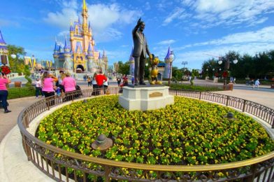 Florida Residents Can Get Disney World Tickets for $50 a Day With This Offer