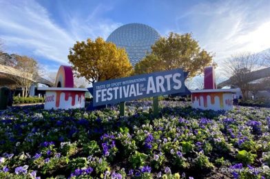 Photos & Video! Channel Your Inner Warrior with REALISTIC 3D Chalk Art in Disney World