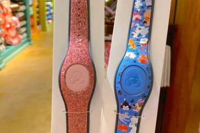 PHOTOS: The Yellow MagicBand in Disney World Gets a New Look for a New Year