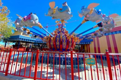 What’s New at Magic Kingdom: Pineapple, Cotton Candy, and Cookies and Cream Treats Galore!