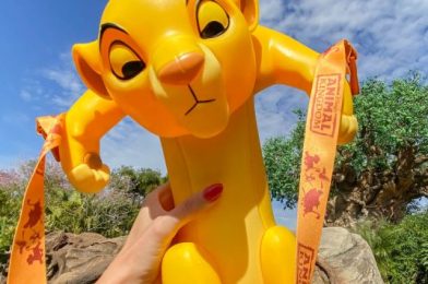 PHOTOS: Simba Popcorn Bucket Arrives in Disneyland Resort!