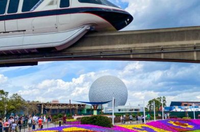 What’s Park Hopping Like in Disney World Now? Here’s EVERYTHING You Need to Know.