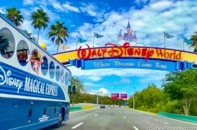 4 HUGE Changes Coming to Disney World and Disneyland