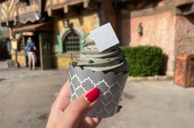 REVIEW! This GRAY Cocktail in Disney World is a Lot Tastier Than it Looks!