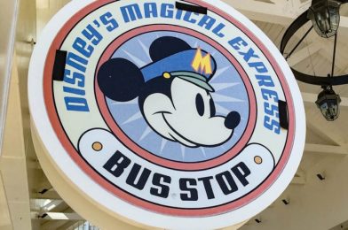 NEWS: Mears Releases Statement on Disney’s Magical Express Service Ending