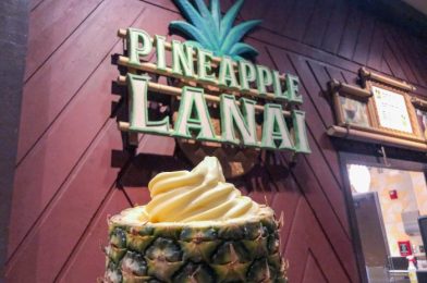 DFB Video: The 25 BEST Disney World Snacks for 2021!