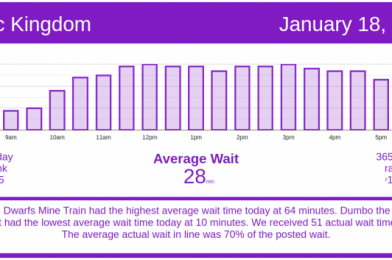 Low Holiday Crowds – Disney World Wait Times for Monday, January 18, 2021