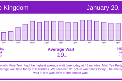 A Slow Wednesday – Disney World Wait Times for Wednesday, January 20, 2021