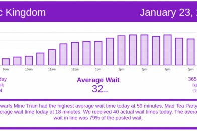 Low Crowds Start the Weekend – Disney World Wait Times for Saturday, January 23, 2021