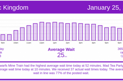 So Slow! Disney World Wait Times for Monday, January 25, 2021