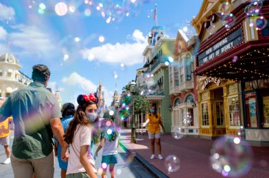 21 Reasons to Visit Walt Disney World in 2021