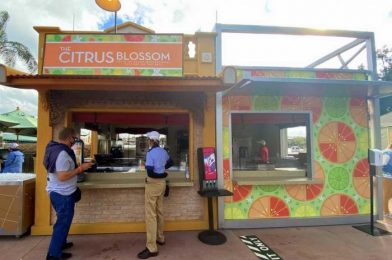 Review: Head to Citrus Blossom if You’re Looking for the Orange Bird Sipper and Booze in EPCOT