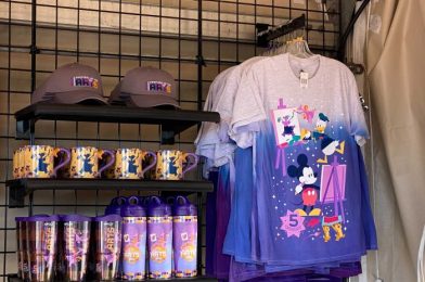 FIRST LOOK – 2021 Festival of the Arts Merchandise