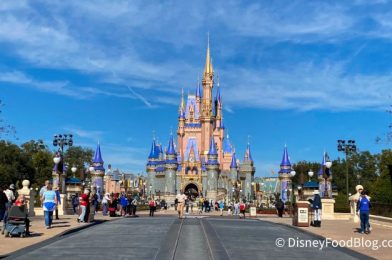 These New Disney Bags are Designed to Show Off Your Pin Collection!