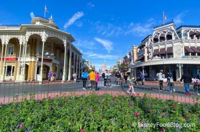 What’s New in Magic Kingdom: Harper’s Mill Construction, a Merch Typo, and More!