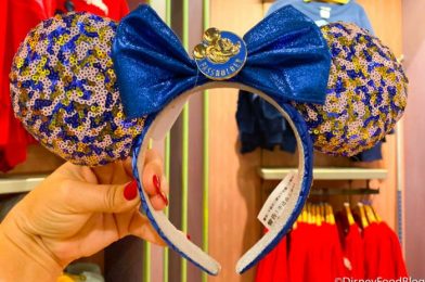 NEW Annual Passholder Exclusive EARS Just Arrived in Disney World!