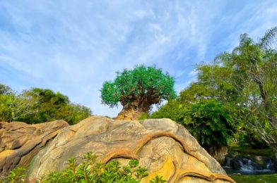 What’s New at Animal Kingdom: An ‘Up’ Photo-Op and Gummi Centipedes!