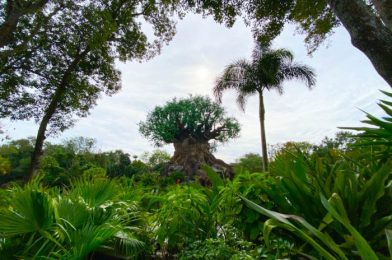 Animal Kingdom Vice President Djuan Rivers Retiring After 30 Years with the Walt Disney Company