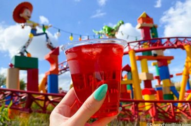 REVIEW! We’re Trying An On-Tap Cosmo in Disney World