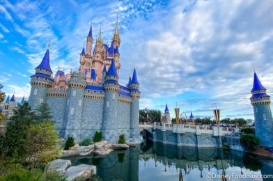 NEWS: Disney World Updates Distancing Policy for Large Groups