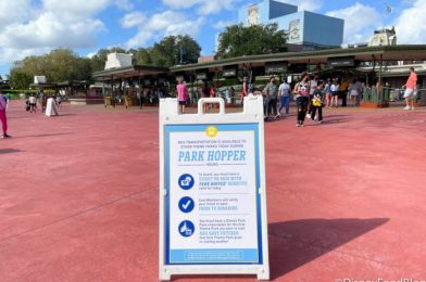 Call This Number to Learn About Park Hopping Availability in Disney World