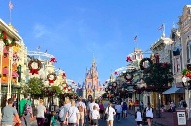 PHOTOS and VIDEOS! New Year’s Day Crowds and Wait Times are NOT What We Expected in Disney World!