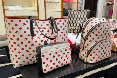 A NEW Disney x Kate Space Minnie Mouse Collection Is Now Available in Disney World!