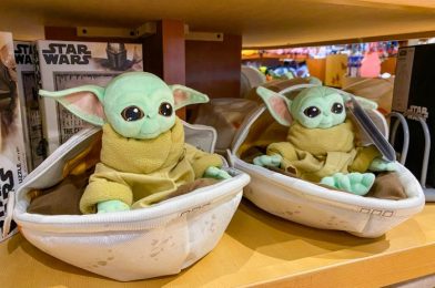 We Spotted Another NEW Baby Yoda Spirit Jersey Today at Disney World!