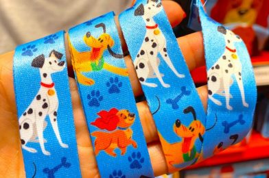 The Disney Dog and Cat Dresses Are Now Available at Disney World!