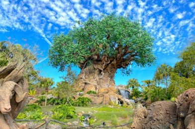 What’s New at Animal Kingdom: A BOOZY Drink Returns, Pandora Gets a Glow-Up, and MORE!