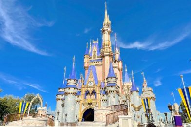 Disney World Park Hours and Park Pass Availability For the Week of January 17th