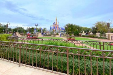 January Disney World Annual Passholder Park Passes Have Been Replenished