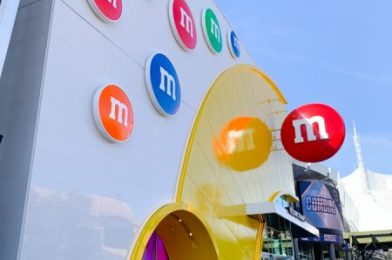 5 Things We HAD to Buy at Disney World’s New M&M’s Store!