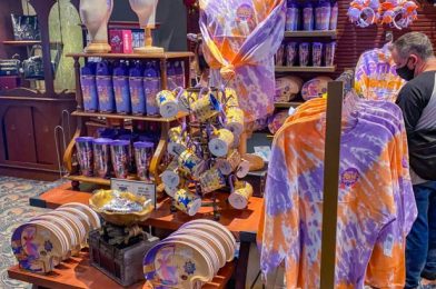 Pics! See ALL of the 2021 EPCOT Festival of the Arts Merchandise HERE!