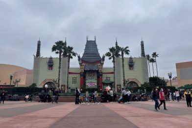 What’s New at Disney’s Hollywood Studios: Holiday Decor Disappears and Valentine’s Day Dooneys!