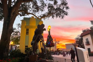 What’s New at Hollywood Studios: Crowds, a Reopened Attraction, and NEW Wishables!