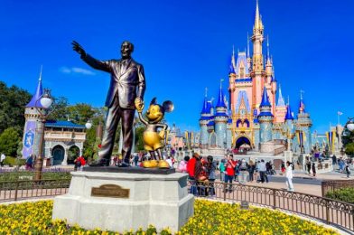 Space Mountain Has Remained Closed All Day in Disney World!